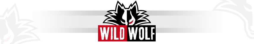 Wild Wolf Triathlon Series – Triatló de la Vila – Barcelona – 2012